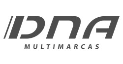 Logo DNA Multimarcas - Aracaju