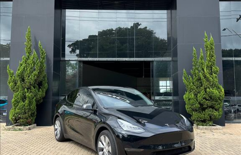 TESLA MODEL Y 2020 P100D PERFORMANCE AWD ELÉTRICO - Carango - 127742 - Foto 1 TESLA MODEL Y 2020 P100D PERFORMANCE AWD ELÉTRICO - Carango 127742 - Foto 1